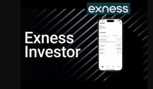 Exness Investor Account