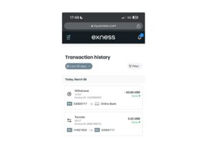 How to Access Exness Transaction History