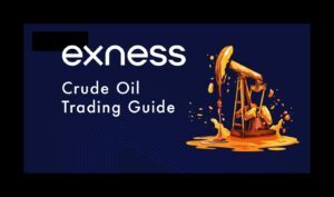 Exness Crude Oil Trading