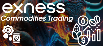 Exness Commodities Trading Platform