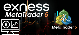 Exness Metatrader 5